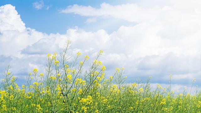 电脑壁纸1920x1080超清（高清电脑壁纸 1920x1080分辨率）(7)