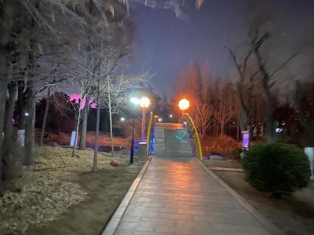 青岛城阳世纪公园（世纪公园夜景一瞥）(18)