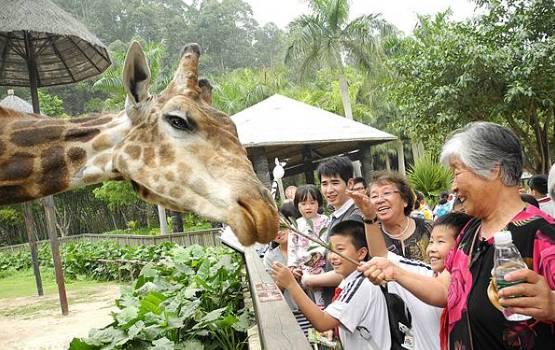 广州有哪些旅游景点（吐血整理 广州最值得去的71个景点）(22)