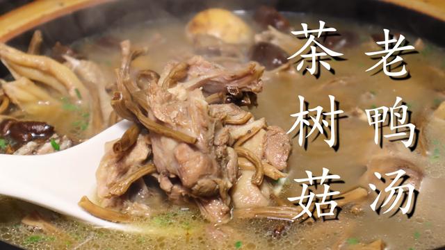 怎样做老鸭汤好吃（老鸭汤这样做才好喝）(2)