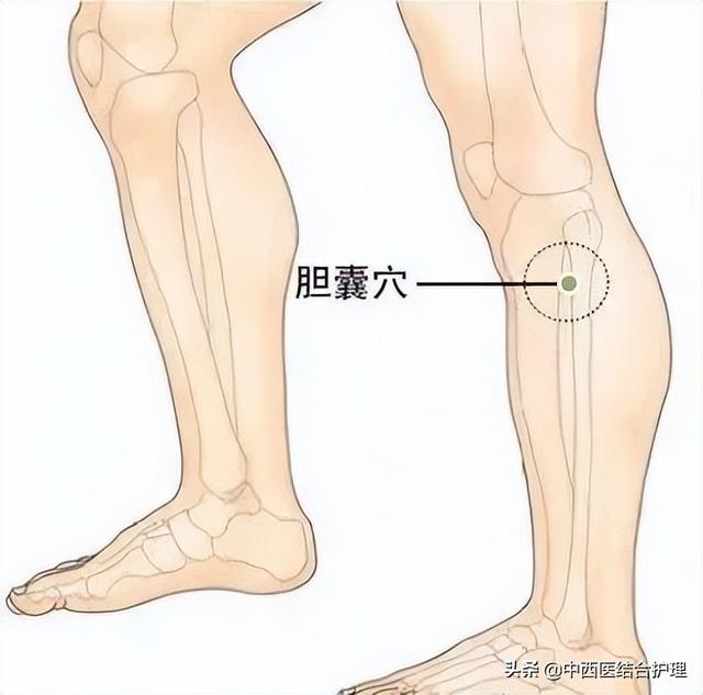 人体穴位分布图（「穴位科普」30个有神奇疗效的经外奇穴）(7)