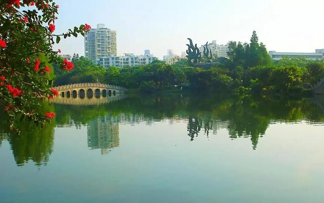 深圳旅游景点大全（整整122个 深圳免费景点汇总来啦）(67)