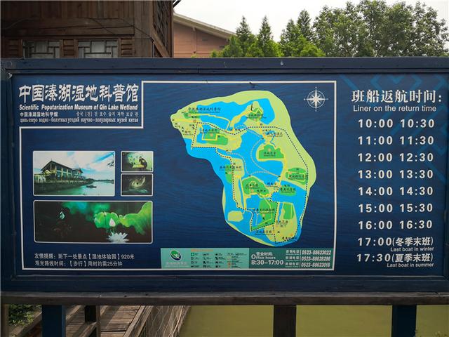 溱湖国家湿地公园（自驾游江苏 5二游溱湖国家湿地公园）(33)