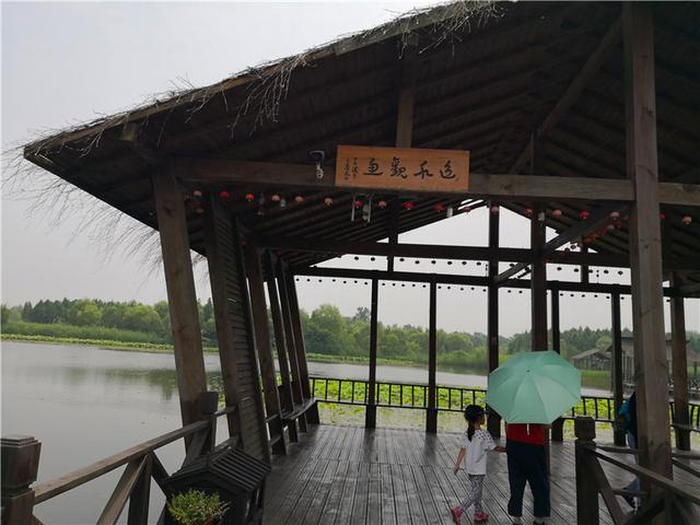 溱湖国家湿地公园（自驾游江苏 5二游溱湖国家湿地公园）(40)