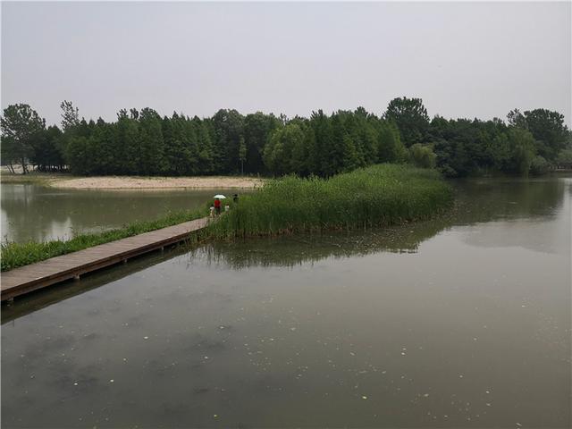 溱湖国家湿地公园（自驾游江苏 5二游溱湖国家湿地公园）(48)