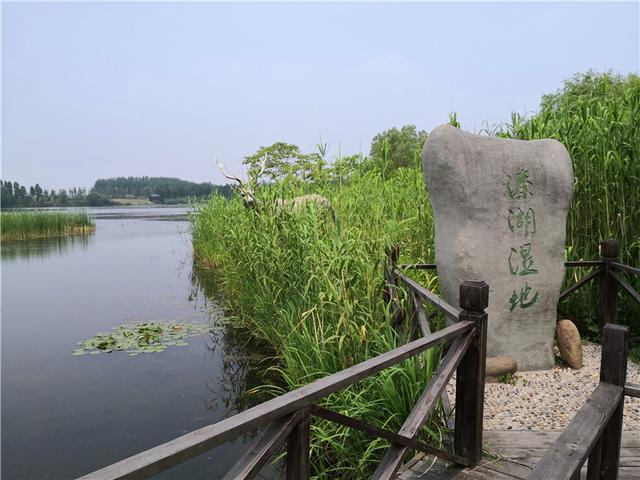 溱湖国家湿地公园（自驾游江苏 5二游溱湖国家湿地公园）(79)