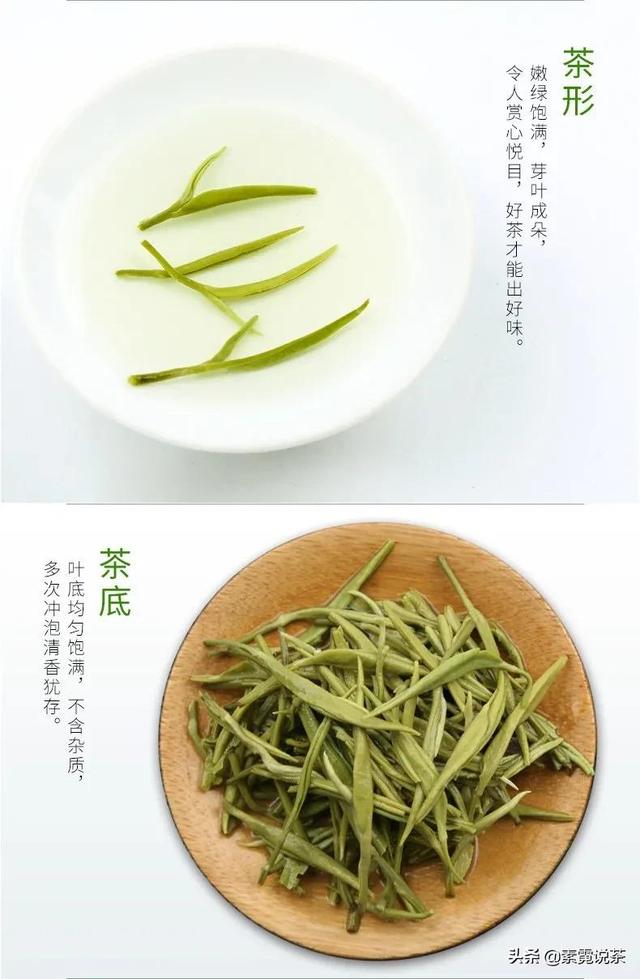 绿茶有什么功效（你知道绿茶有什么功效吗）(11)