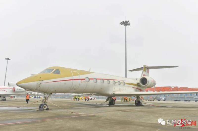 刘涛的私人飞机（价值5亿豪华私人飞机被拍卖）(1)