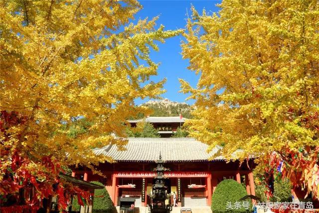 石岛赤山风景区（躲在青岛后花园的石岛赤山）(4)