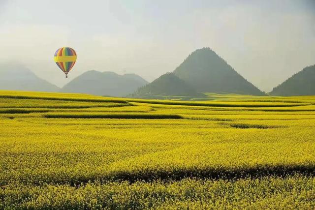 云南旅游必去景点（各具魅力 云南这8大景点）(3)