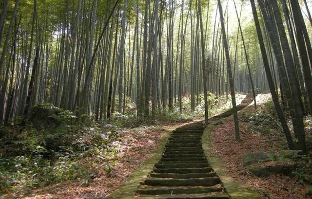 大竹县旅游景点（大竹县境内景点推荐）(7)