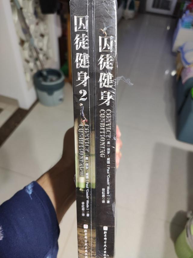 凡尔赛玫瑰家具（家居中的10大 凡尔赛）(11)