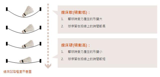 羽毛球拍磅数怎么选（羽毛球拍如何选择合适的穿线磅数）(2)