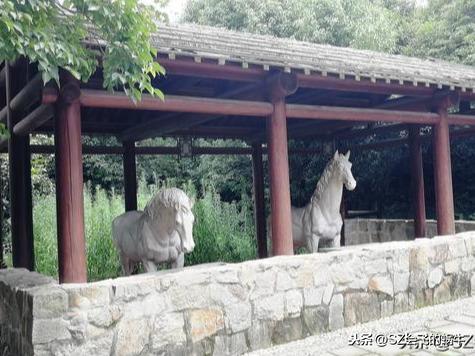 白马涧龙池景区（苏州白马涧龙池景区）(9)