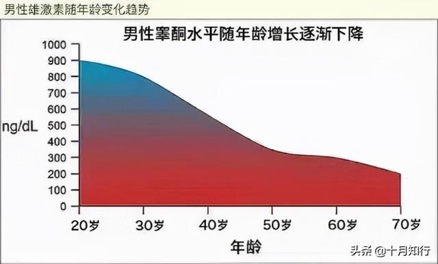 睾酮是什么意思（睾酮是什么 有什么作用）(4)