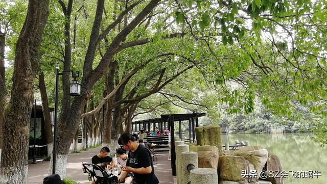 白马涧龙池景区（苏州白马涧龙池景区）(17)