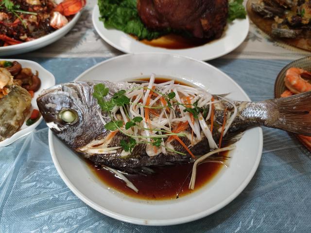 鱼类大全名称图片（中国常见的30种海鱼）(5)