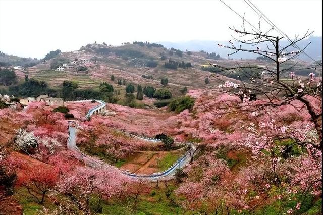 荆州旅游景点大全（浪漫春日荆州不得不去的十大景区）(21)