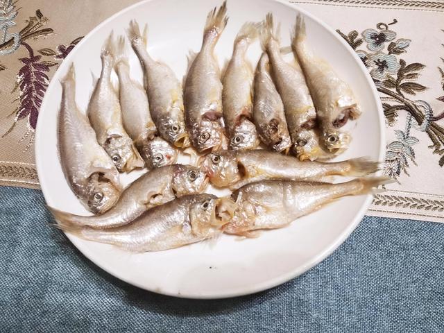 鱼类大全名称图片（中国常见的30种海鱼）(25)