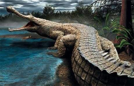 世界上最大的鳄鱼（史上最大的鳄鱼嘴巴比人体还长）(5)