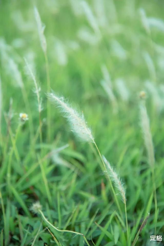 深圳周边一日游（深圳10个小众打卡地）(95)