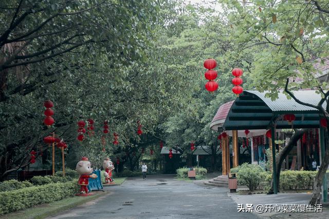 佛山有什么地方好玩的景点（广东佛山最值得打卡的13个景点）(21)