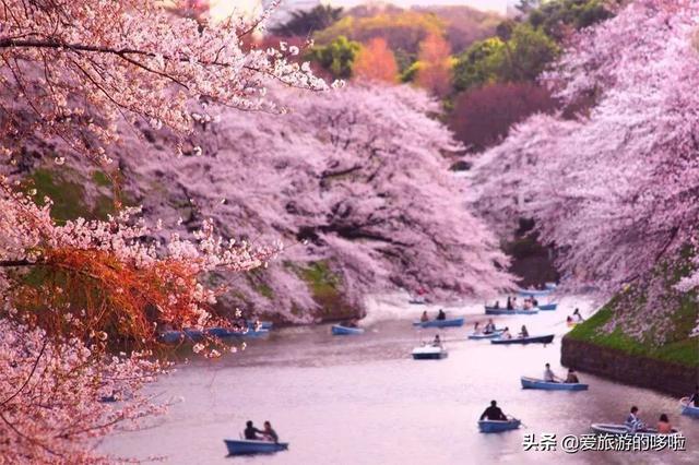 日本著名旅游景点（日本12处零差评宝藏旅行地）(1)