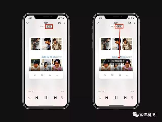 哪个软件听歌最全免费（免费听歌无损最强的音乐APP）(4)