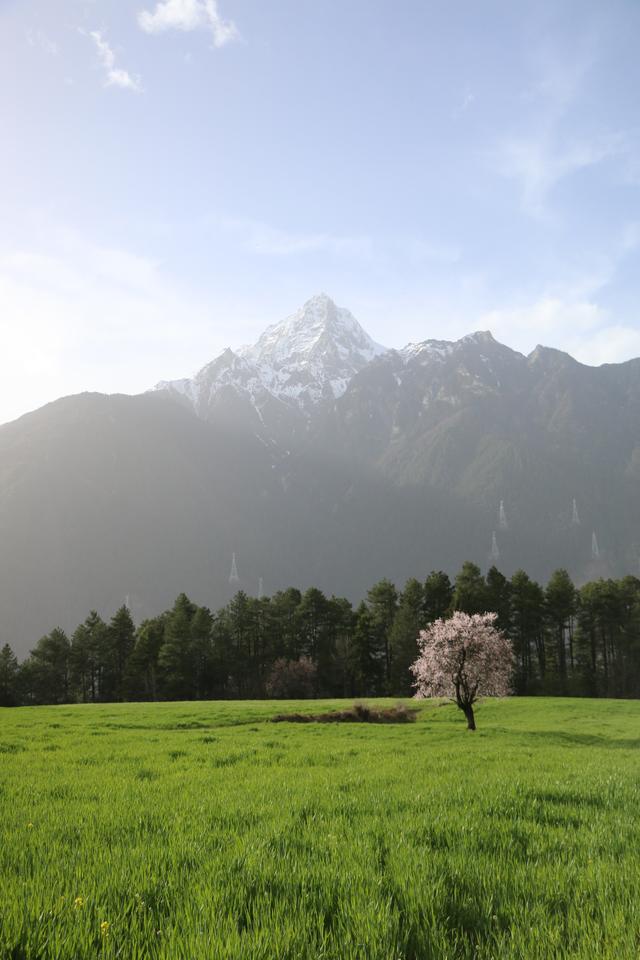 西藏旅游最佳时间（去西藏什么时间最好）(6)