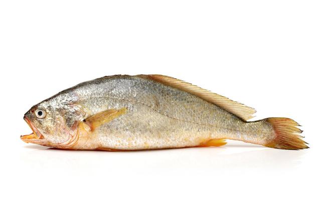 鱼的种类有哪些（最常见的50种食用鱼）