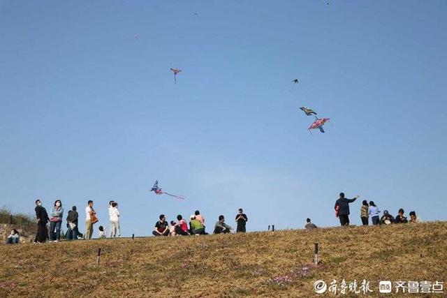 清明节去哪里玩（清明踏青游玩好去处）(3)