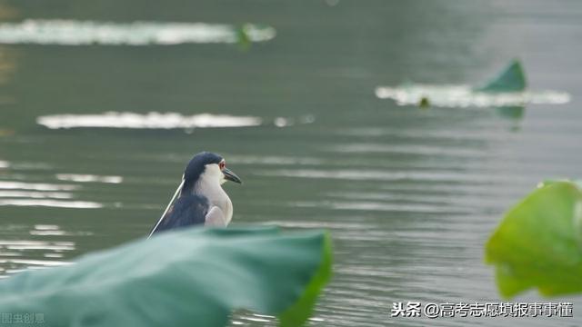 华北电力大学北京（大学慢慢谈之华北电力大学）(4)