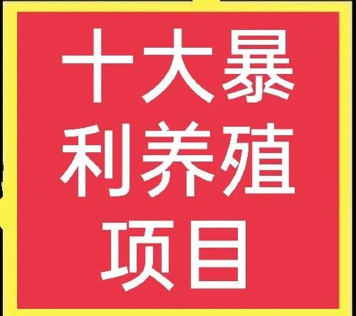 最赚钱的养殖项目（十大高收益养殖项目）