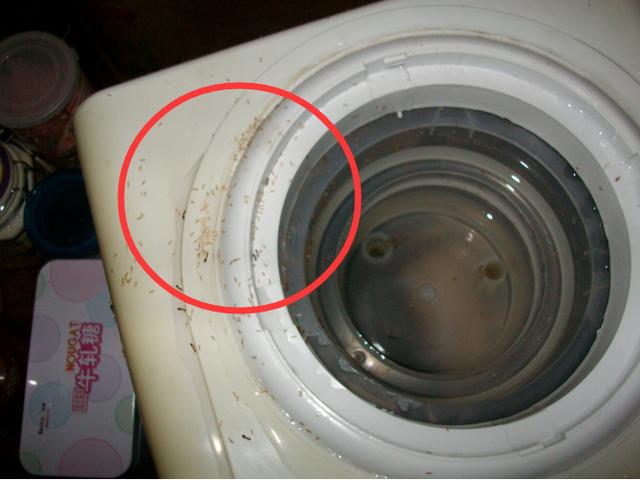 清洗饮水机最简单办法（不忍直视饮水机不洗干净）(1)