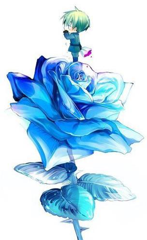 蓝色妖姬你知道它的花语代表了什么吗(5)