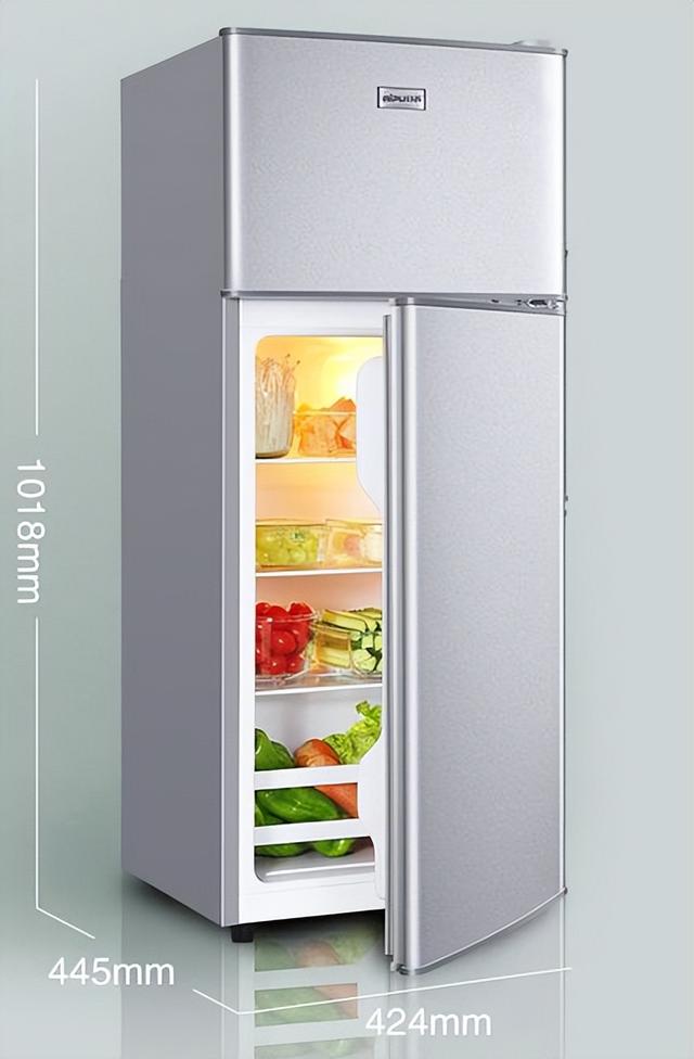 小冰箱推荐小冰箱哪个牌子好(9)