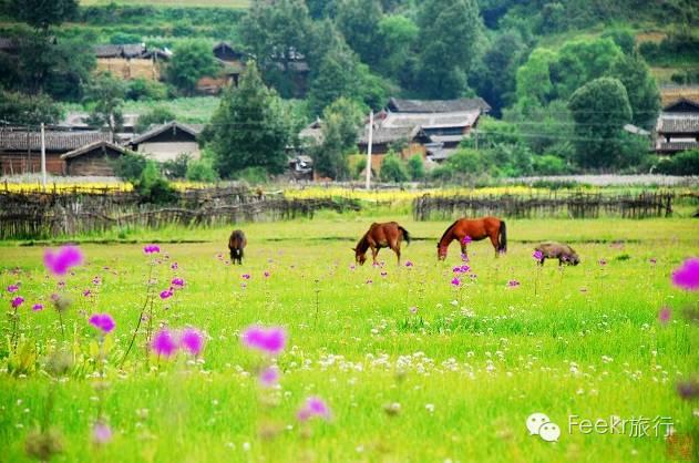 大理丽江旅游攻略（丽江大理5天4晚深度自驾游攻略）(36)