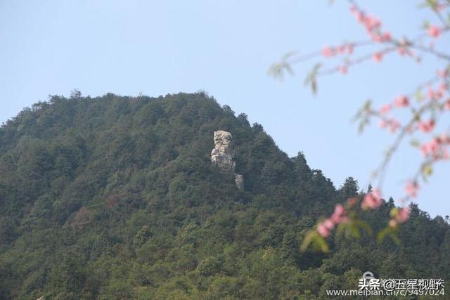 故乡原风景峰山野生资源欣赏(16)