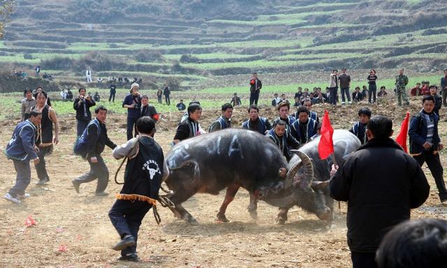 少数民族风俗习惯（关于我国少数民族的一些节日简述）(10)