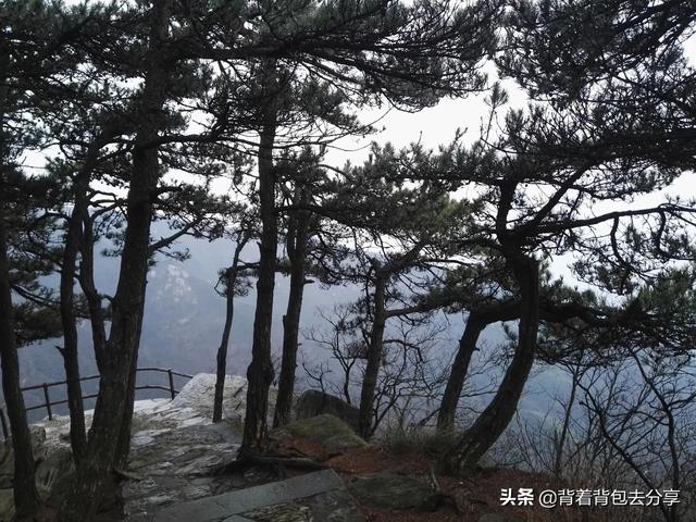 江西省旅游景点（江西最值去的7处景点）(2)
