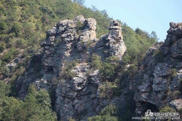 故乡原风景峰山野生资源欣赏(36)