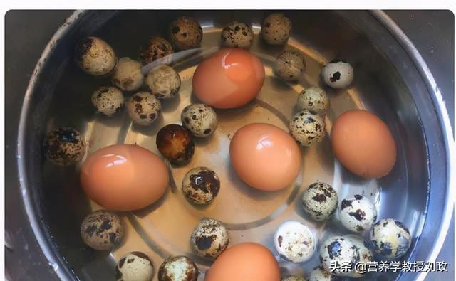 鹌鹑蛋一天吃几个合适（鹌鹑蛋被视为保健型蛋）(1)