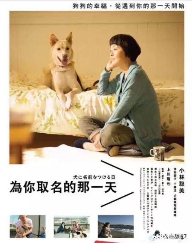 10部关于狗狗的暖心治愈催泪电影(7)