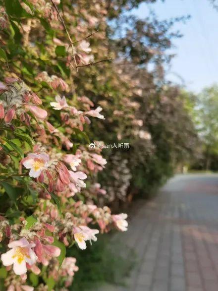 北京清明节去哪玩（清明去哪玩北京这6处小众游玩地）(14)