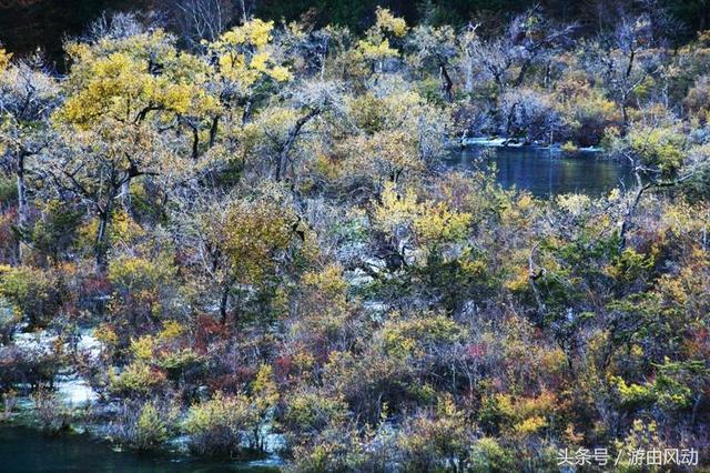 九寨沟景点介绍（九寨沟的主要景点大全）(19)