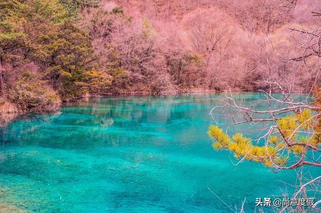 九寨沟旅游特点（如果一生只去一次九寨沟）(1)