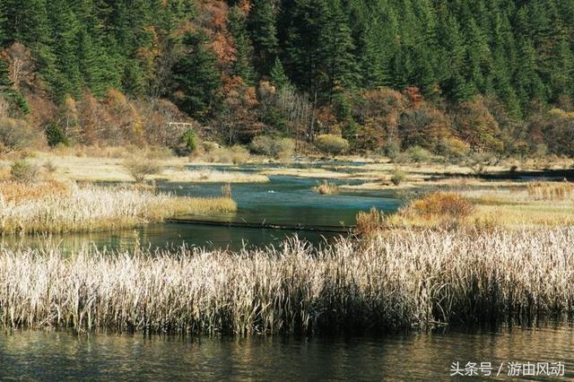 九寨沟景点介绍（九寨沟的主要景点大全）(25)