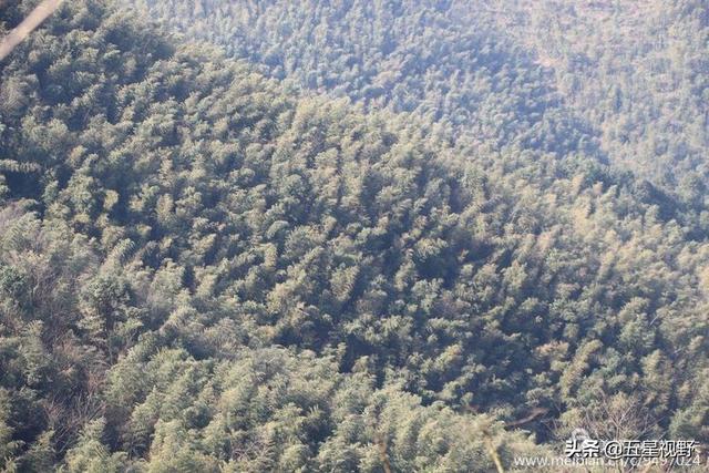 故乡原风景峰山野生资源欣赏(70)