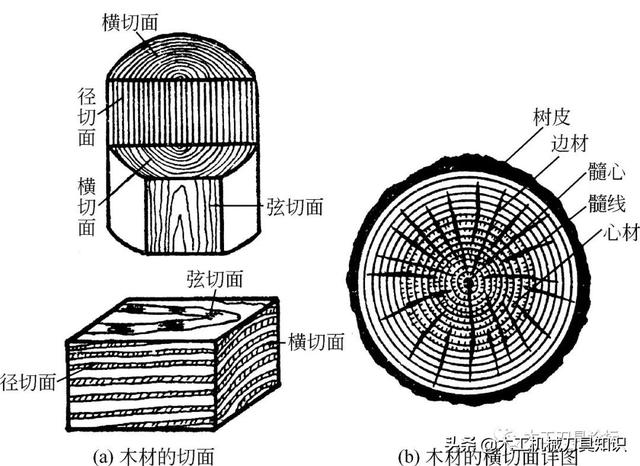 哪种裂缝属于正常裂缝（木材的裂纹种类与斜纹知识）