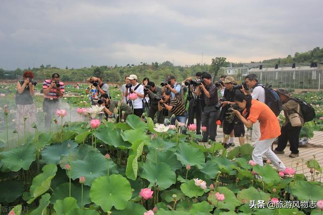 江西土特产有哪些（江西十大特产不愧为人杰地灵之地）(5)